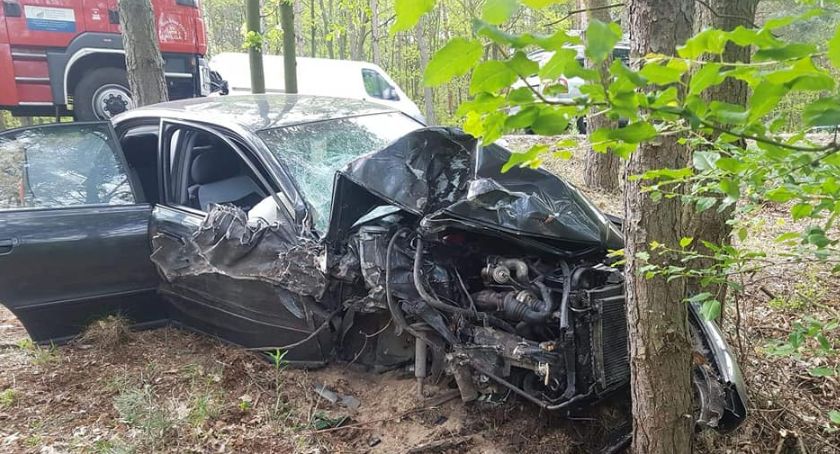 Wypadek – audi uderzyło w drzewa