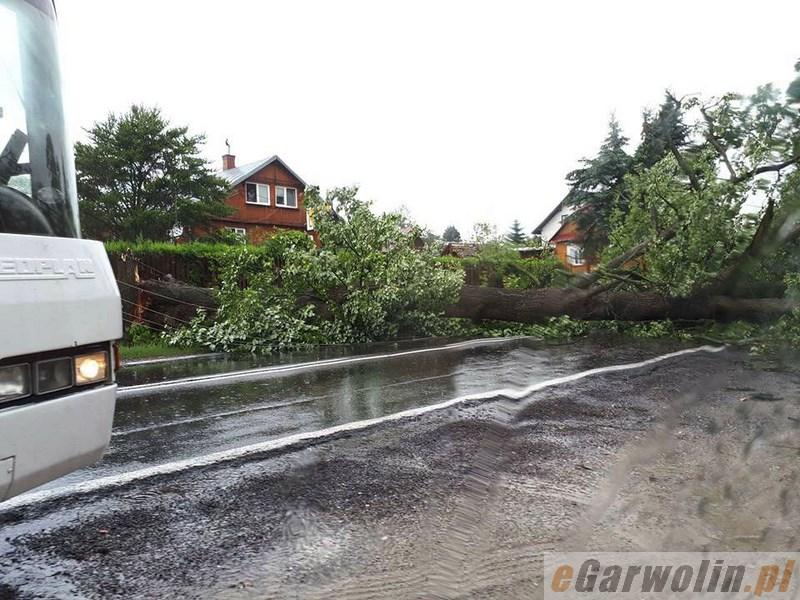 Powalone drzewa, uszkodzenia linii energetycznej i dachu