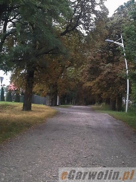 Aleja Kasztanowa została oszpecona?