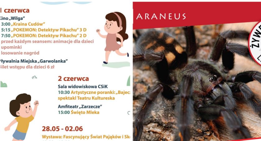 Dzień Dziecka z CSiK