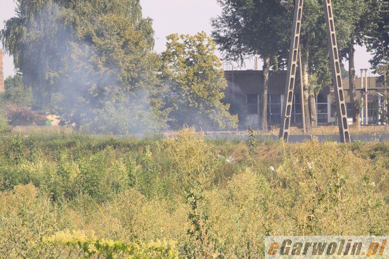 Garwolin: Pożar trawy na wale rzeki Wilga