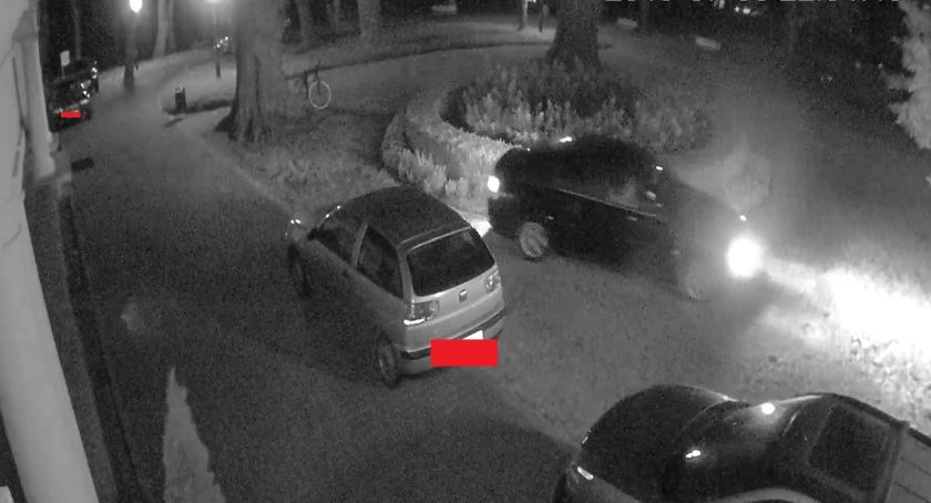 Kto zniszczył klomb? Kamery zarejestrowały sprawcę