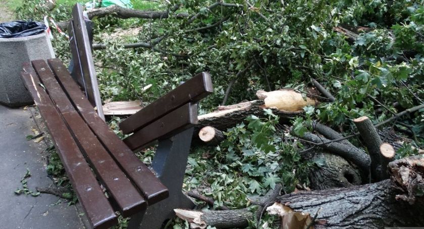 Śmierć niemowlęcia przygniecionego konarem drzewa – Urzędnicy usłyszeli zarzuty