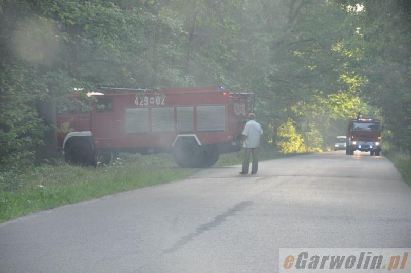 Sześć godzin gasili pożar lasu