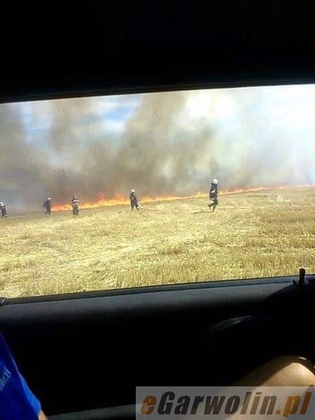 Pożar w Samorządkach: płonęło rżysko, trawa i las