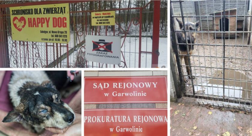 Właściciel schroniska Happy Dog z zarzutami znęcania się nad zwierzętami
