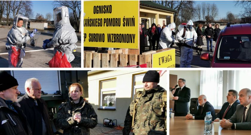 Ognisko ptasiej grypy i ASF – Jak działają służby? Zdjęcia i video
