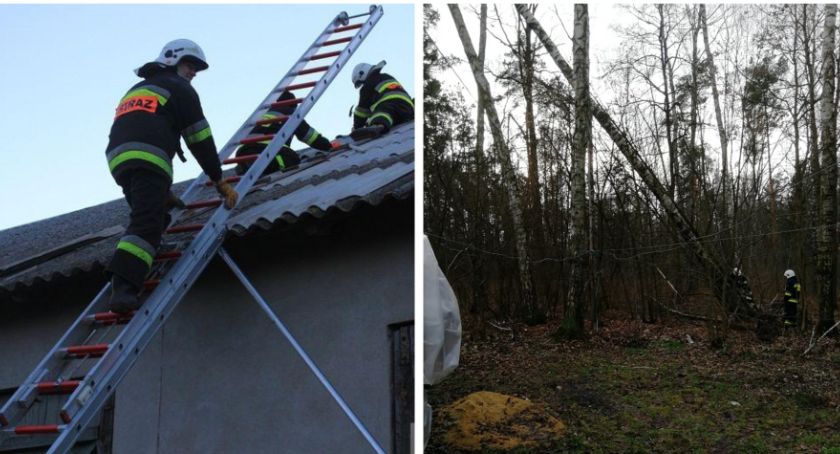 Silny wiatr uszkodził budynki i połamał drzewa