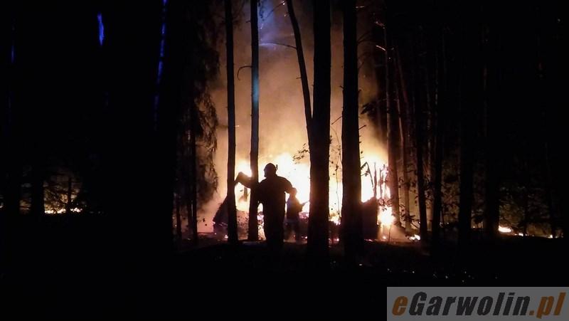 Łaskarzew: Pożar domku letniskowego dawnego ośrodka Świt (VIDEO)