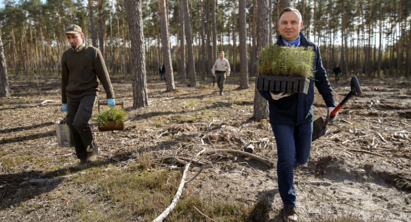 Prezydent Andrzej Duda dosadzał drzewa w powiecie