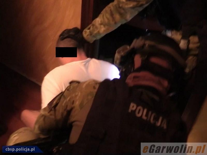 Dilerzy z Garwolina i Mińska zatrzymani przez CBŚP! VIDEO