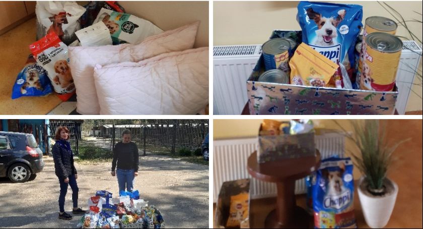 Leśne Skrzaty z pomocą dla zwierząt