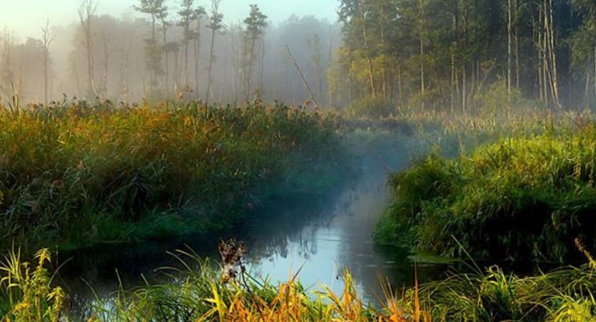 Wirtualna wycieczka na Podlasie 