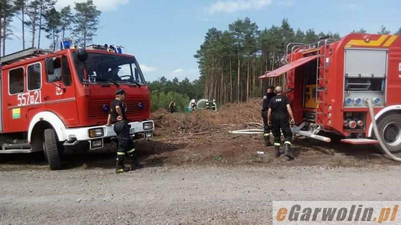 Pożar lasu w Łucznicy – Ćwiczenia strażackie