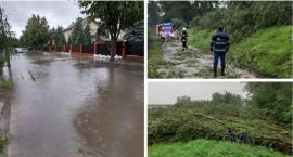 Re:Uszkodzone dachy, zalane posesje i połamane drzewa