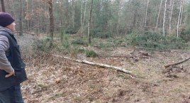 Bo pomylił działki? Mieszkaniec oburzony decyzją prokuratury i opieszałością policji 