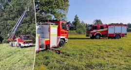 Kot uwięziony na drzewie. Akcja strażaków z Wygody i…