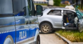 Kierowca osobówki zderzył się z łosiem