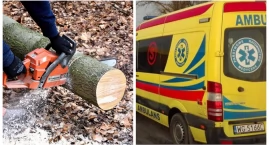 7-latek zraniony piłą mechaniczną - Dziecko trafiło …