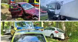 Uderzenia w drzewa, wypadek na S17 i pomoc rannemu c&hellip;