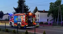 Uderzył fordem w drzewo i uciekł