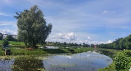 Co z zielenią w Garwolinie? Mieszkaniec pyta o Zarze&hellip;