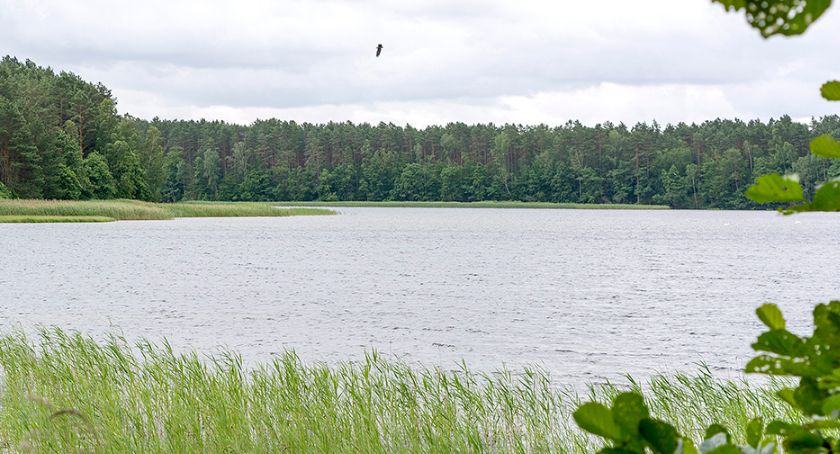 Jezioro Kielskie. Łowisko pośród lasów