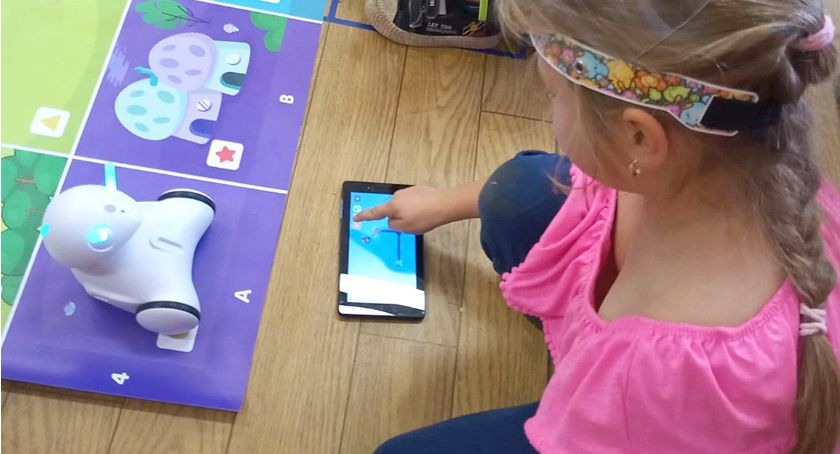 Roboty z Biblioteki Miejskiej w Bytowie w Gostkowie