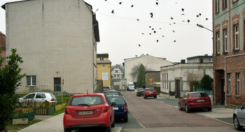 Kurnik w centrum Bytowa