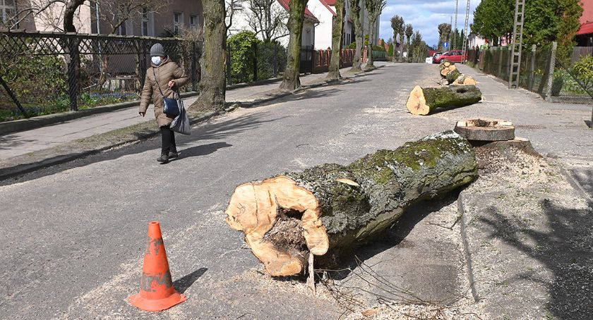 Na ul. Miłej w Bytowie wycięto lipy