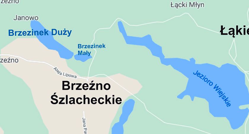 Brzezinek Duży trafi na przetarg