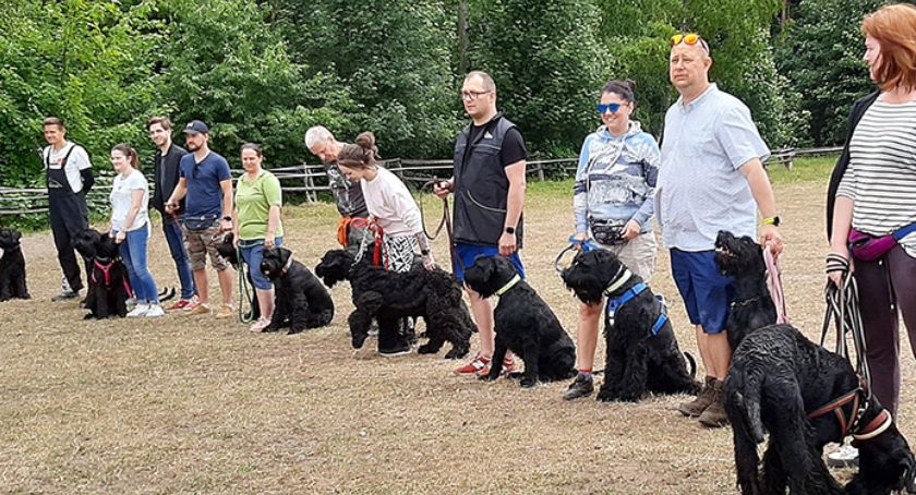 Schnauzerfest 2021 w stajni Zdroje
