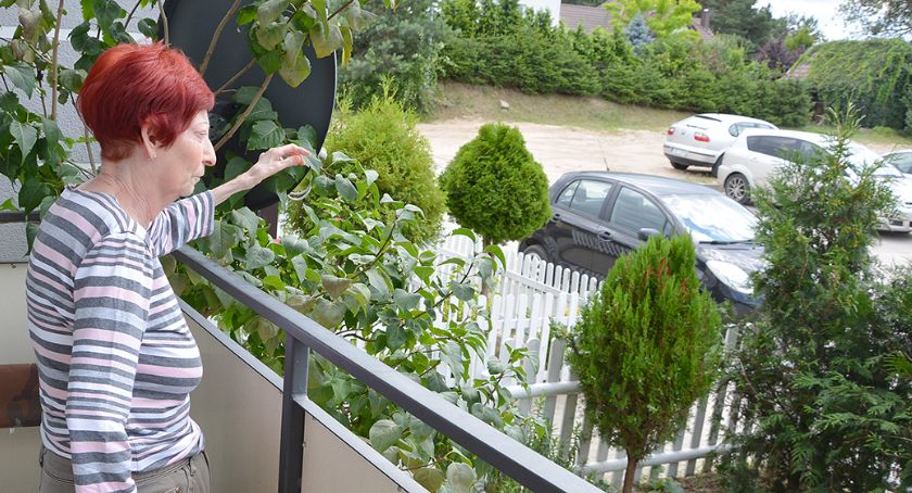 Auta zaparkowane przy balkonie i to z włączonym silnikiem