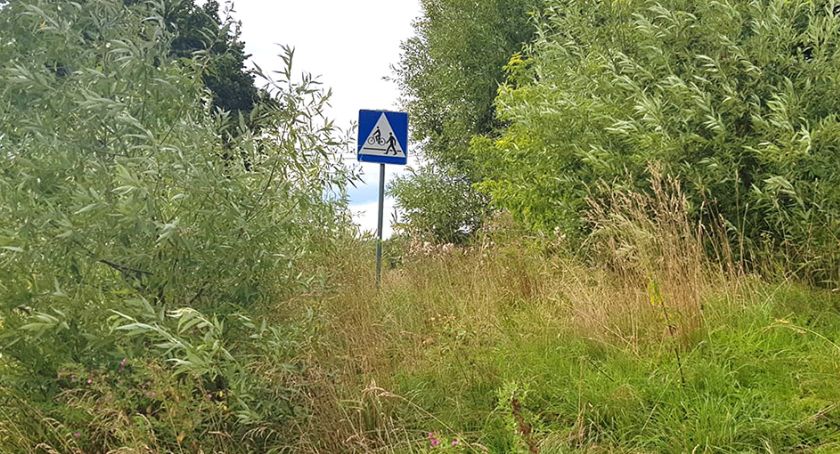 Znak w zaroślach przy ścieżce rowerowej w Tuchomiu