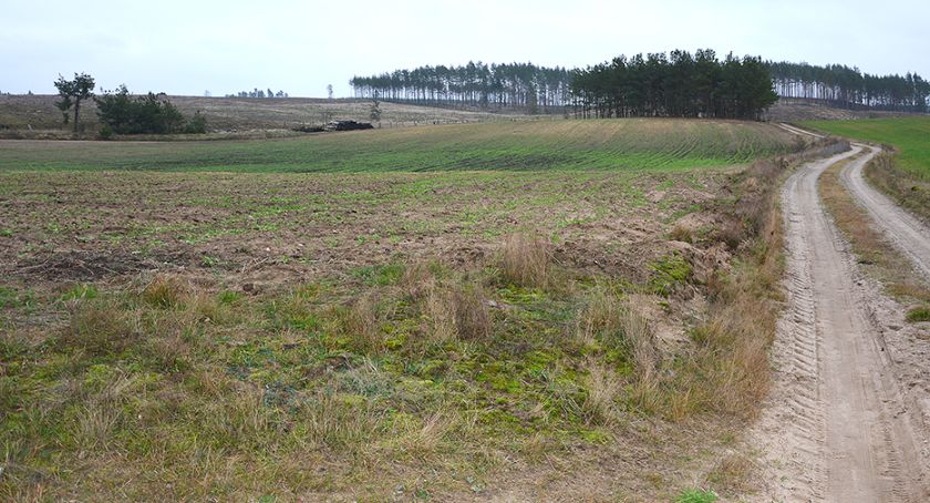 Gmina Studzienice sprzedała działki w Przewozie i Ugoszczy