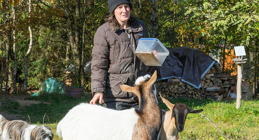 Niezwykłe gospodarstwo Joanne Wehrli z Baranowa z Pomyłką i kicającą Kicią