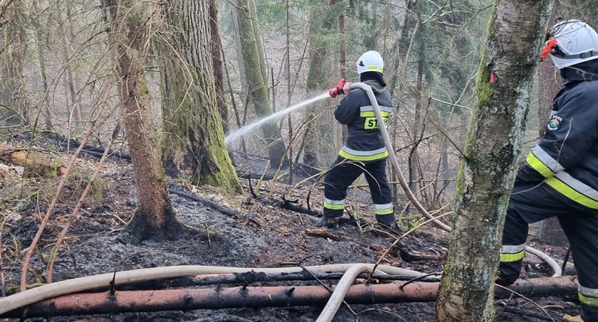 Susza na Ziemi Bytowskiej. Rolnicy i leśnicy alarmują