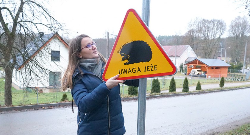 Takie znaki przy drogach powiatowych w naszych stronach zobaczymy tylko przy wjazdach do Gałąźni Małej. Kierowcom przypominają, by uważali na jeże