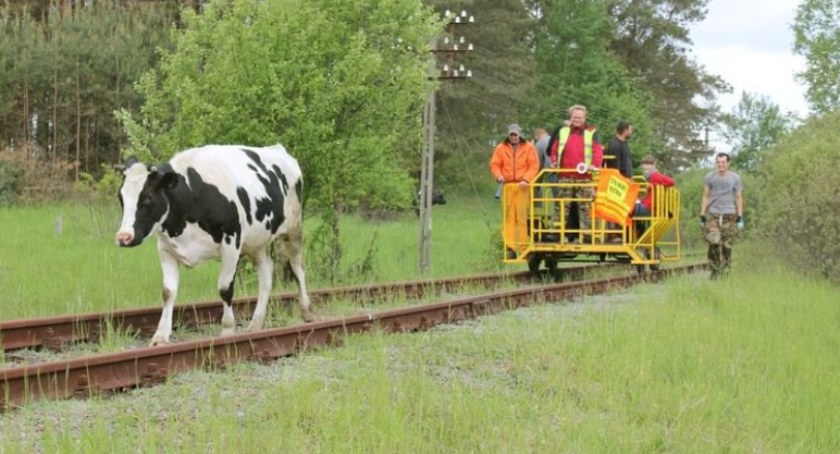 Przejażdżki drezyną na trasie Bytów - Dąbrówka - Bytów