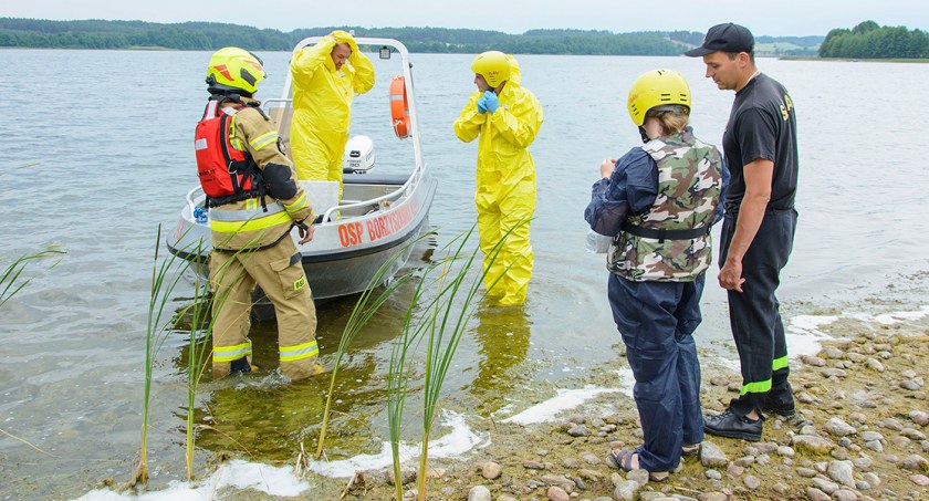 W Sominach znaleziono martwą mewę, u której potwierdzono obecność wirusa ptasiej grypy