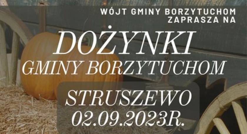 Dożynki gminy Borzytuchom. Struszewo 2023