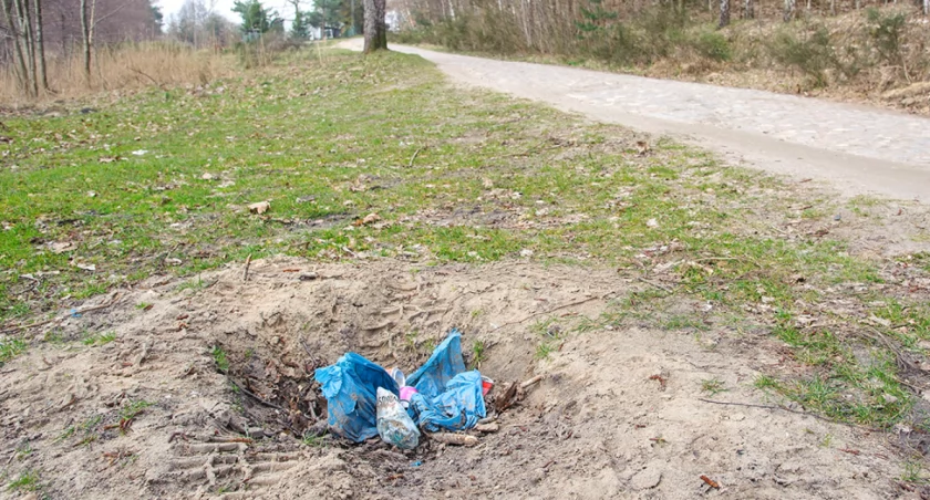 Sprzątają mieszkańcy i miejscy pracownicy, a i tak Różana usłana... małpkami
