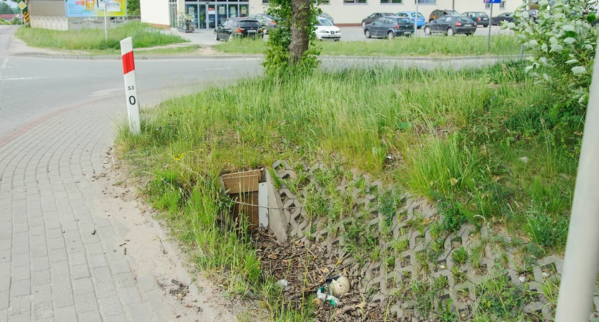 Potrzeba więcej śmietników