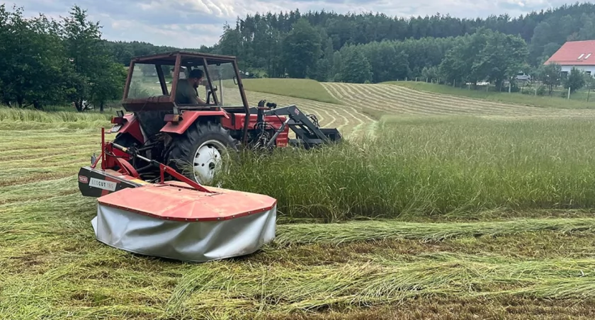 Trawy dużo, ale siano trudno zebrać