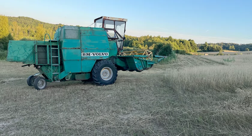 Żniwa u nas wcześniej niż zazwyczaj