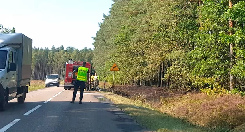 Płomienie zajmowały las. Na czas zjawili się strażacy