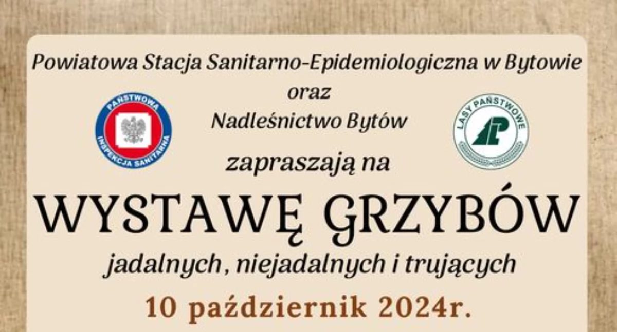 Wystawa grzybów na rynku