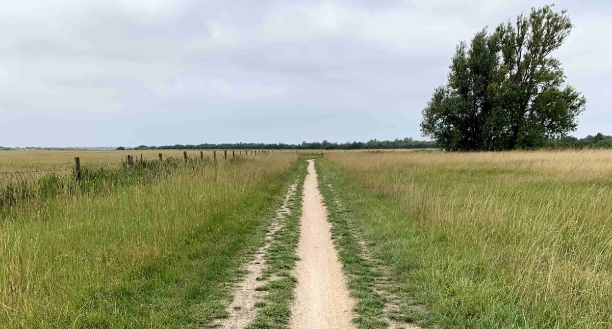 Cztery drogi w grudniu. Lipnica, Tuchomie, Parchowo i Studzienice skorzystają