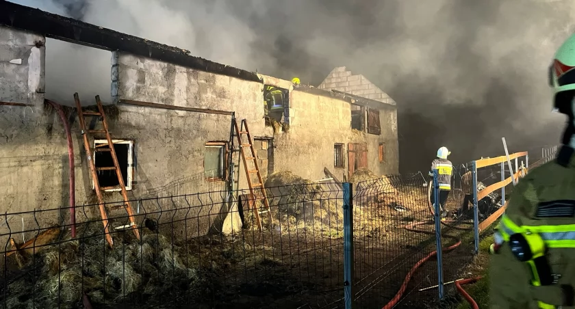 Nocny pożar w Ostrowitem. Zapaliła się obora