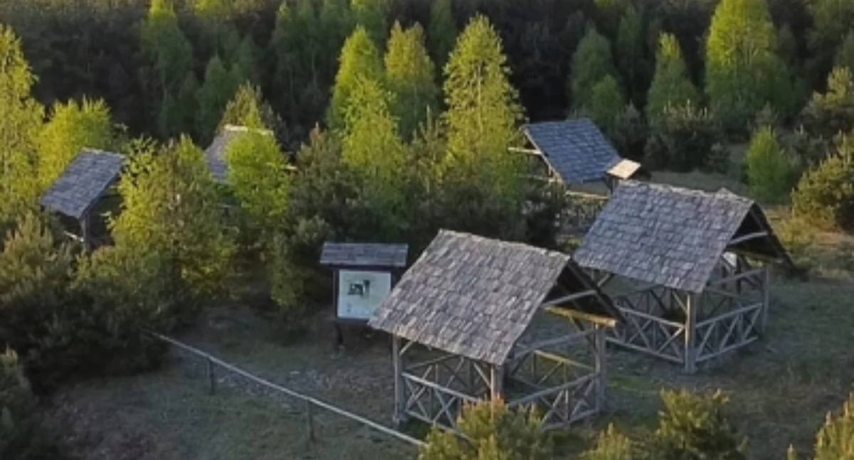 Spotkanie z historią Pomorza w Trzebiatkowej